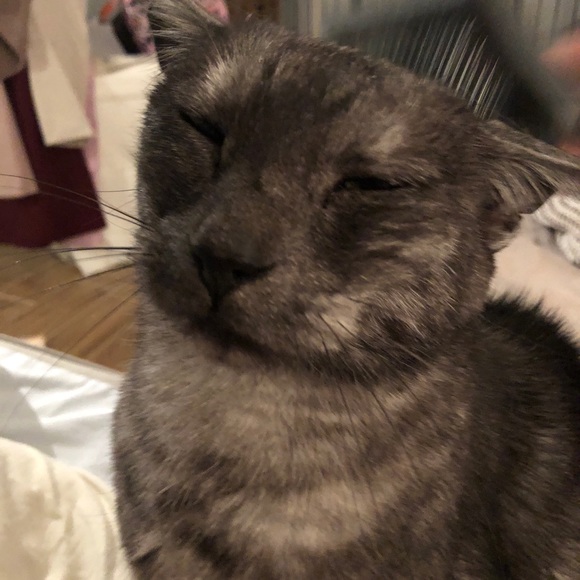 Meet your Posher, Jenna - Picture 3 of 5